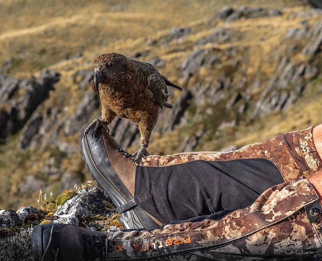 First Lite Brambler Gaiter - Image 3